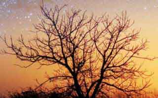 快游加速器永久免费版，快游加速器官方下载