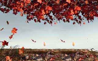 本周——吃瓜入口吃瓜爆料传播很猛——但时间线缺了这一环