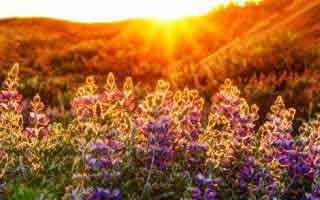 本周——吃瓜入口吃瓜爆料传播很猛——但时间线缺了这一环