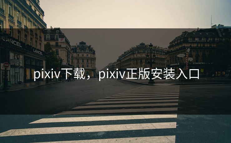 pixiv下载，pixiv正版安装入口